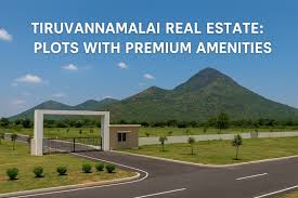 Thiruvannamalai real estate landscape